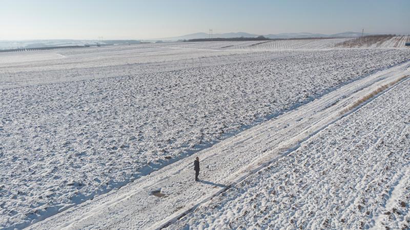 La neve benedice i campi. “Grano e frutti più sani”