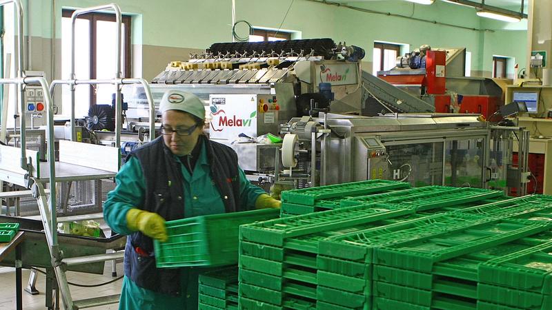 L’assemblea di Melavì nomina due liquidatori: Paolo Roscio ed Edj Polinelli