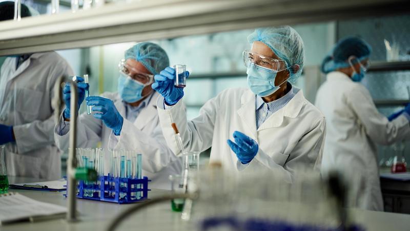 Turicibacter, alleato contro i grassi individuato nel microbiota intestinale. Cosa fa e come ‘coltivarlo’