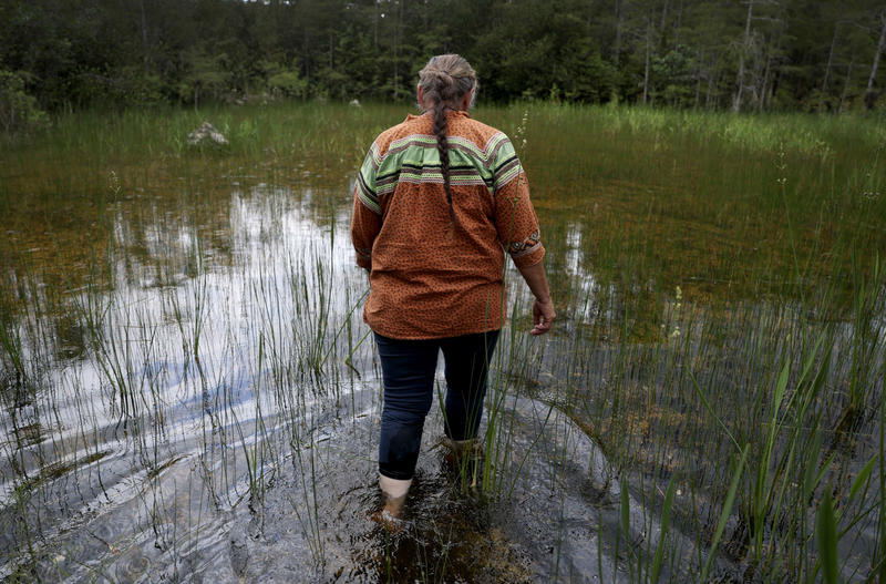 Trump Blocks Bill to Return Land to Florida Tribe That Fought Alligator Alcatraz