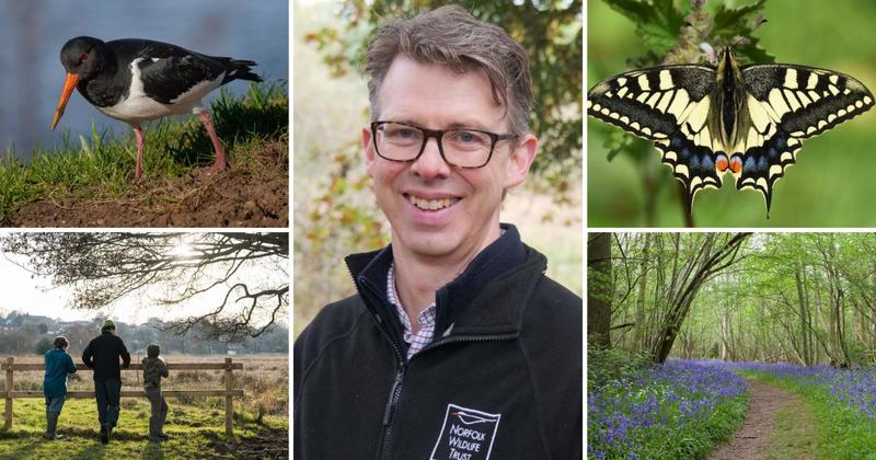 Norfolk Wildlife Trust highlights its top nature successes from the last 100 years