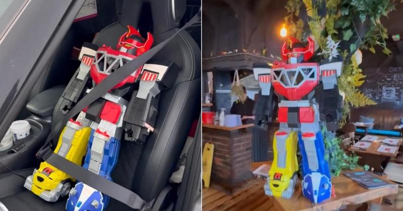 Stunt double of expensive pub 'mascot' gifted to owner