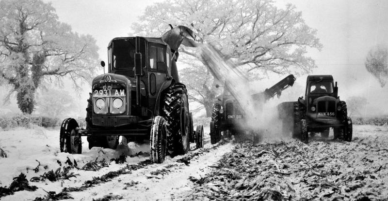 Mark Andrews: Trump's sour grapes, Storm Goretti, and when did shoplifting become socially acceptable?