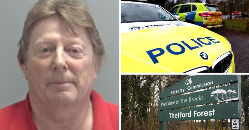 Police hunt other men who may have abused woman forced into sex with strangers