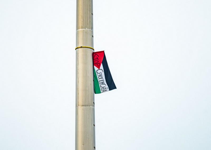 The Palestine flag that shames Dublin