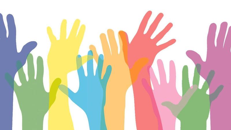 Columna vertebral d’una societat viva