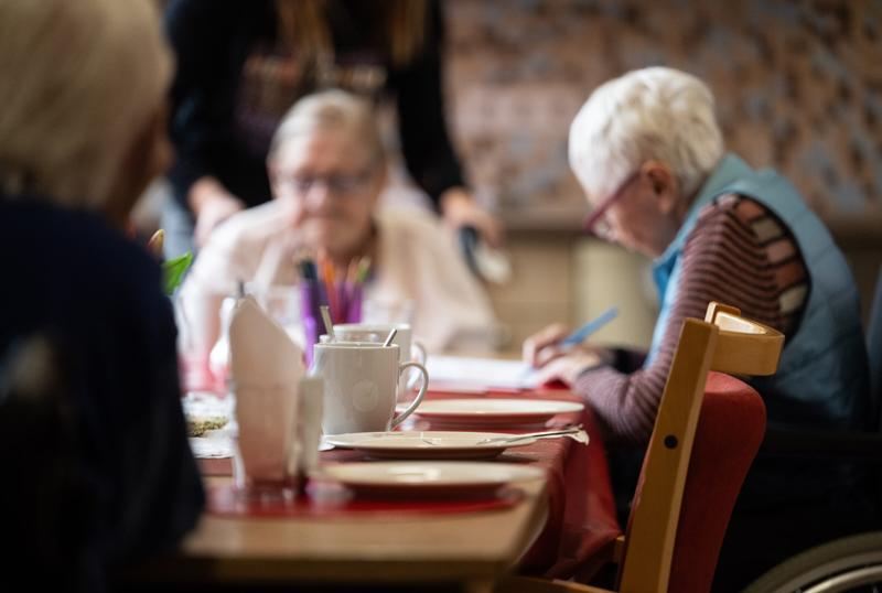 Wolf im Finanzierungspelz