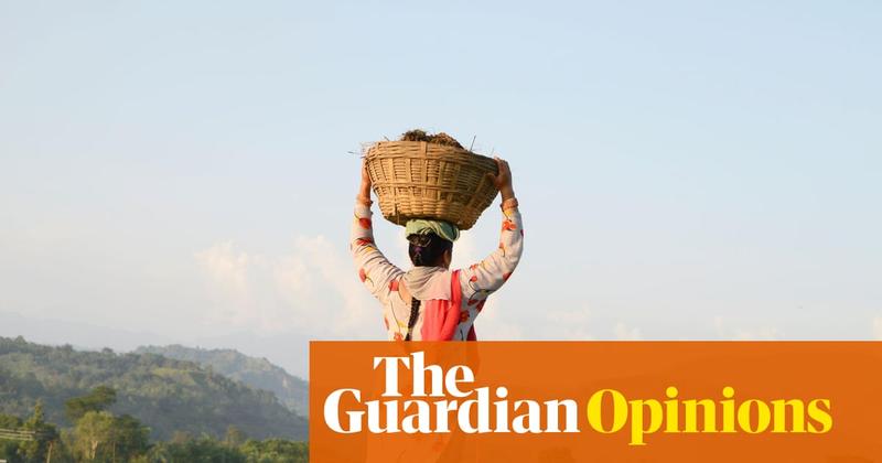 The Guardian view on India’s employment guarantee: scrapping a right to work risks a rural revolt