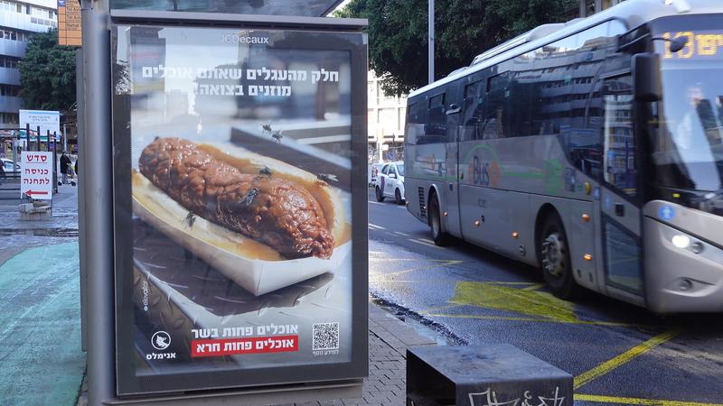 Banned elsewhere in the West, Israel permitting farmers to use feces as cattle feed