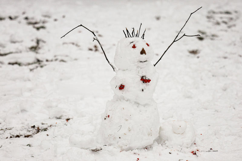 «Как можно было отнять у детей радость?»: герой вирусного ролика рассказал о спасении снеговика