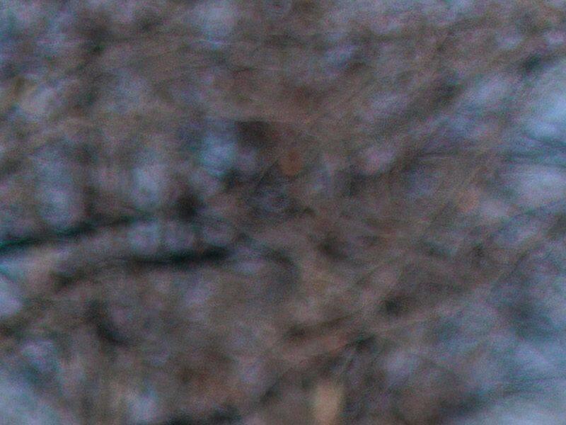 Les États-Unis, toujours plus violents