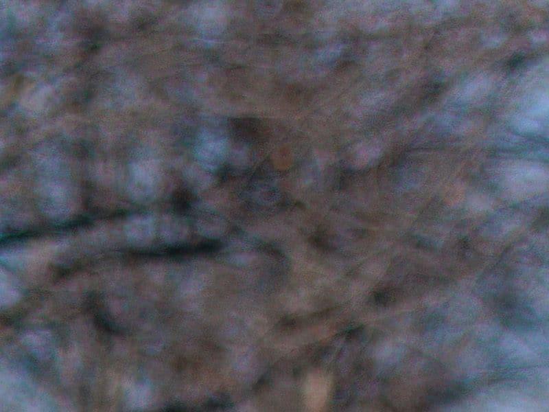 Les États-Unis, toujours plus violents