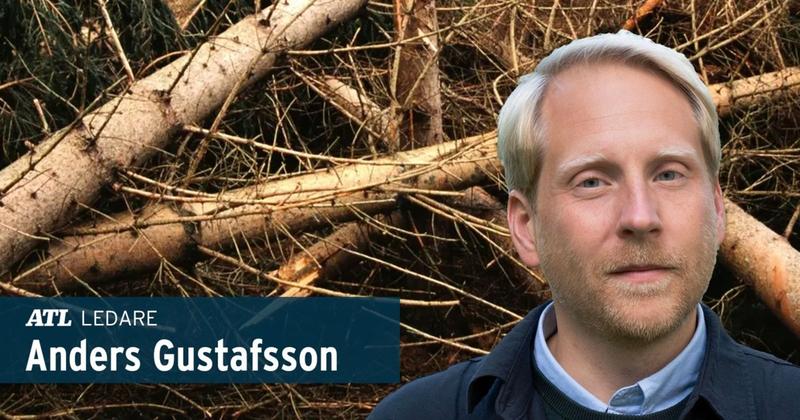 ”Låt inte byråkrati duka bordet för granbarkborren”