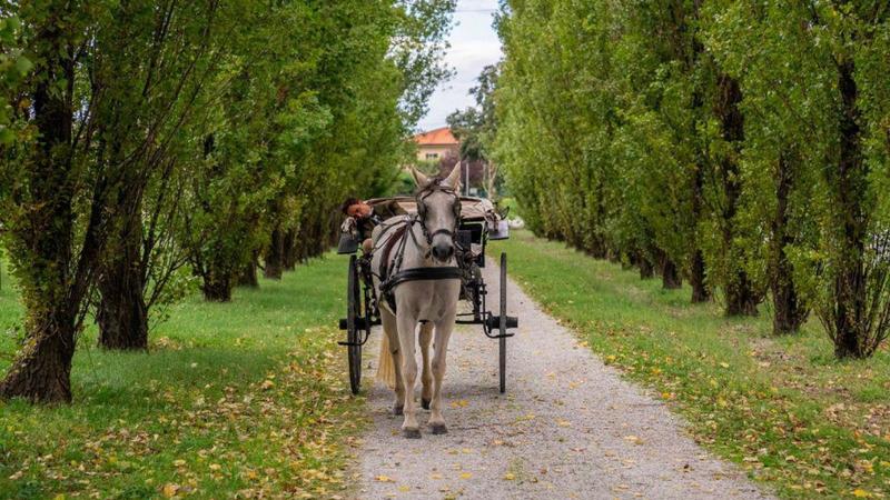 Il film su Giovanni Pascoli in onda su Rai Uno: quando e a che ora