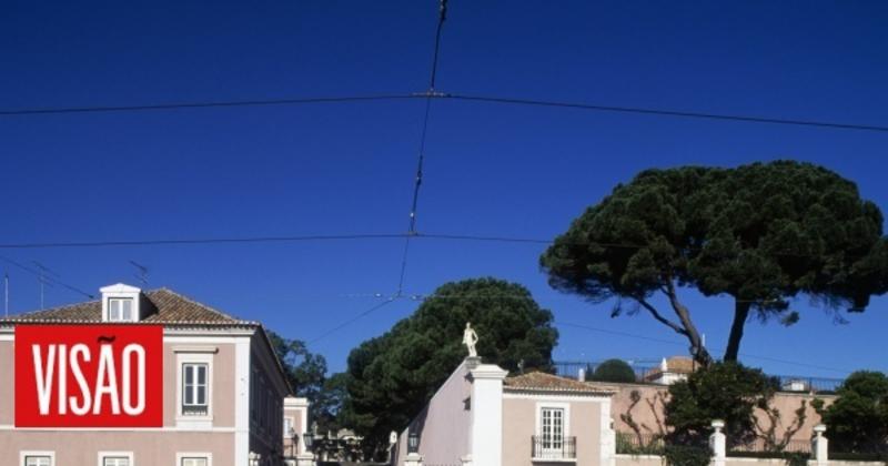 Presidenciais: O equilíbrio necessário num tempo de incerteza