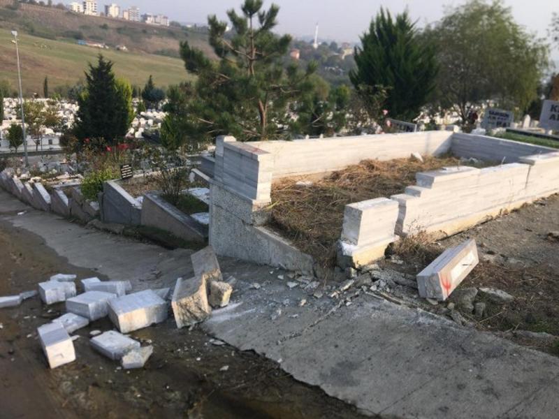 Ağacıma Nasıl Kıydınız?