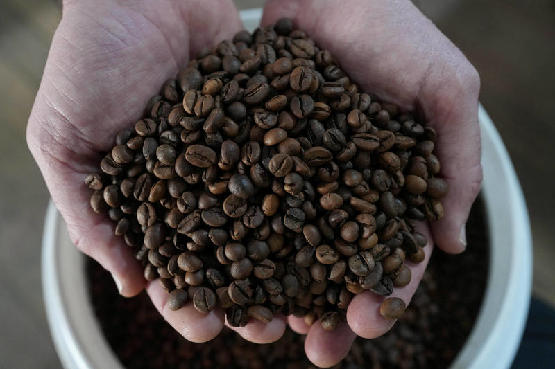 Minas Gerais expande cultivo de café conilon e diversifica produção