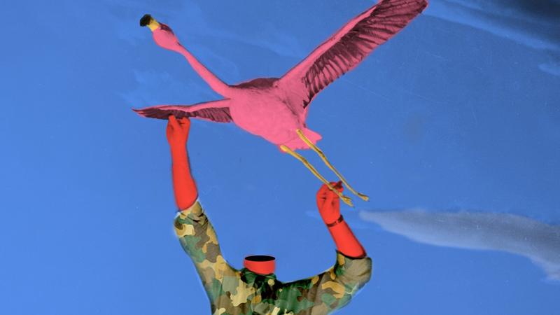 Erst strenge Corona-Regeln, jetzt Wehrpflicht: Diese Generation wächst ohne Freiheit auf