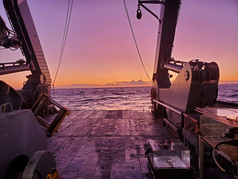 Viruses aren’t all bad: In the ocean, some help fuel the food web – a new study shows how