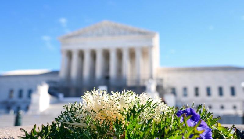 Breaking barriers should not mean breaking women’s sports