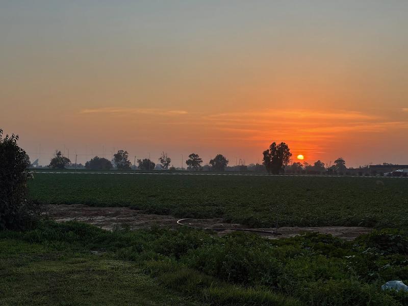 My Year Of Service In Merhavim Regional Council