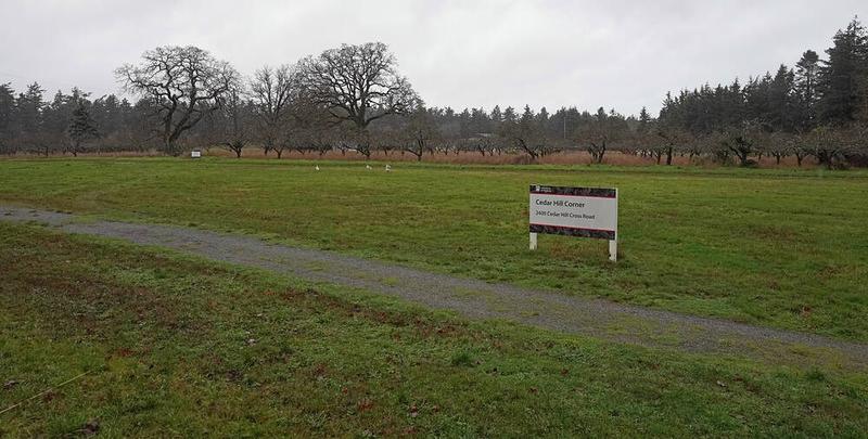 Letters Jan. 12: Thoughtful density; Victoria Symphony concert