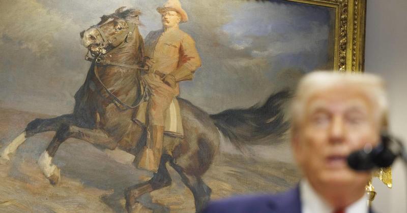 Ein Jahr nach dem Amtsantritt: Was Donald Trump mit Teddy Roosevelt verbindet