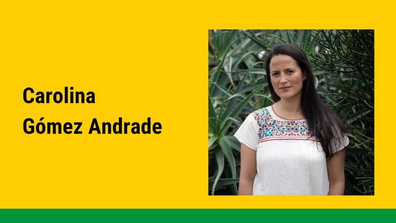 Descifrando el orden natural