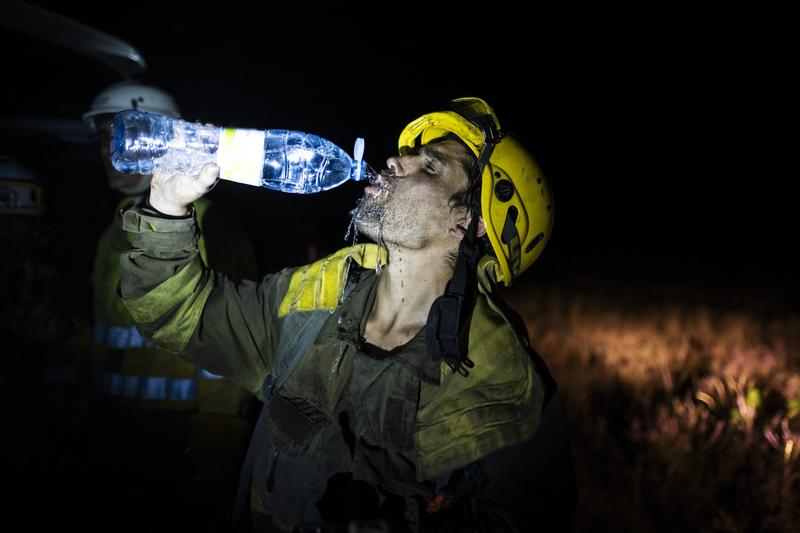 Der Trend ist dein Feind