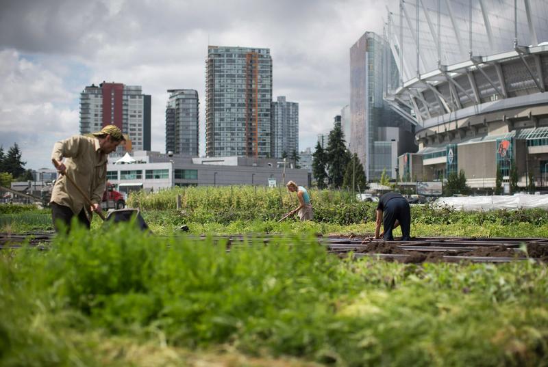 How street vendors and waste pickers can help cities manage growth