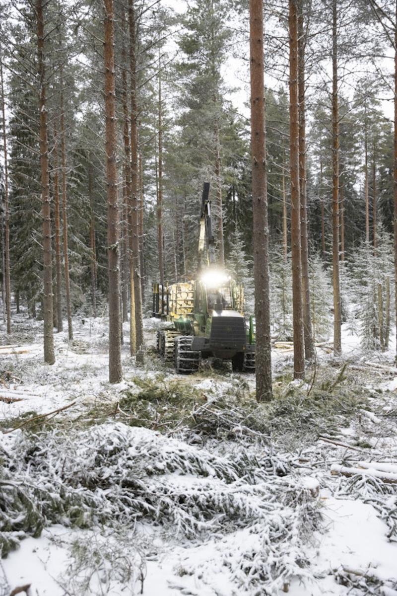 Metsä | Ilmastopaneelin pystyttävä parempaan – arviot eivät voi heitellä miljoonia kuutioita muutamassa tunnissa