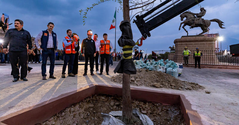 Salud mental y áreas verdes