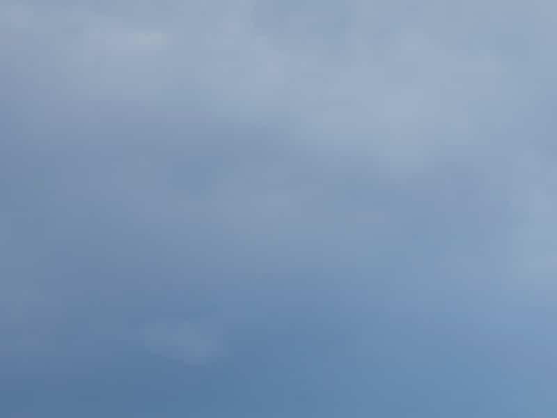 Ça donne la chienne de vieillir au Québec