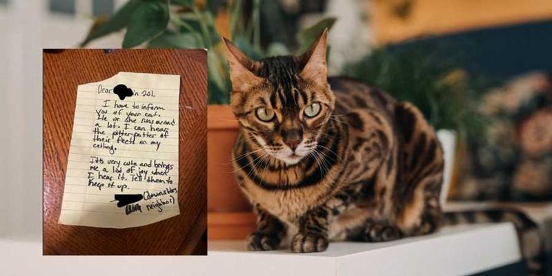Stranger leaves the perfect note for upstairs neighbor about their noisy cat running around