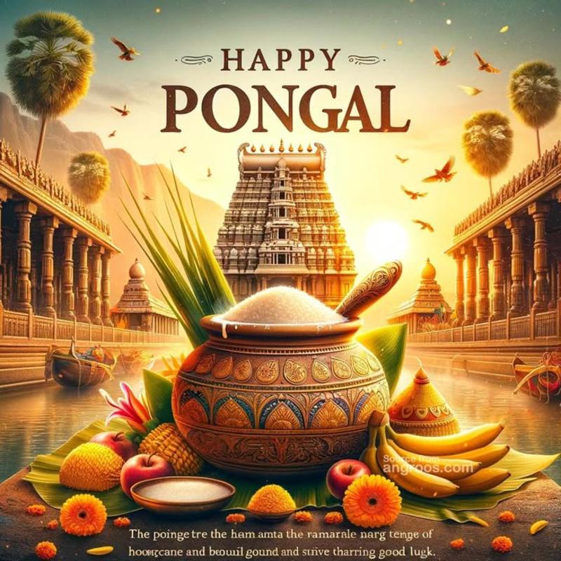 Happy Pongal 2026: Top wishes, messages, and images in English, Tamil, and Telegu perfect for family and friends