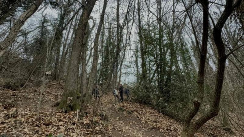 Nembro, muore travolto dall’albero che tagliava. L’amico: «Io schivato, destino beffardo»