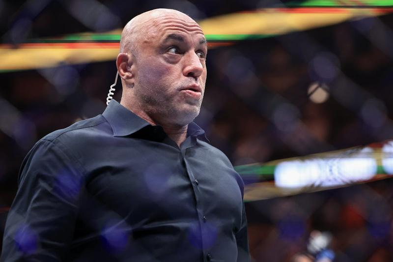 Joe Rogan’s Harsh New Takedown of Trump ICE Raids Hands Dems a Weapon