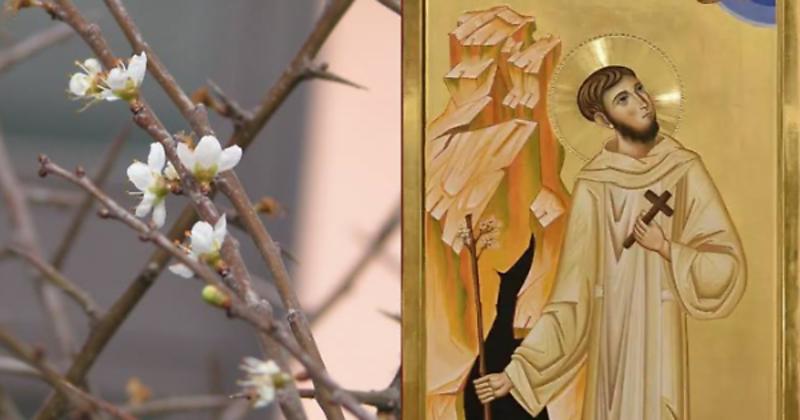 Il Beato Angelo e la fioritura del biancospino: la storia del miracolo che si ripete ogni inverno 