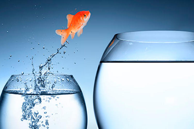 Fragilidad venezolana y el riesgo de confundir cambio con transición, por Luis Aparicio