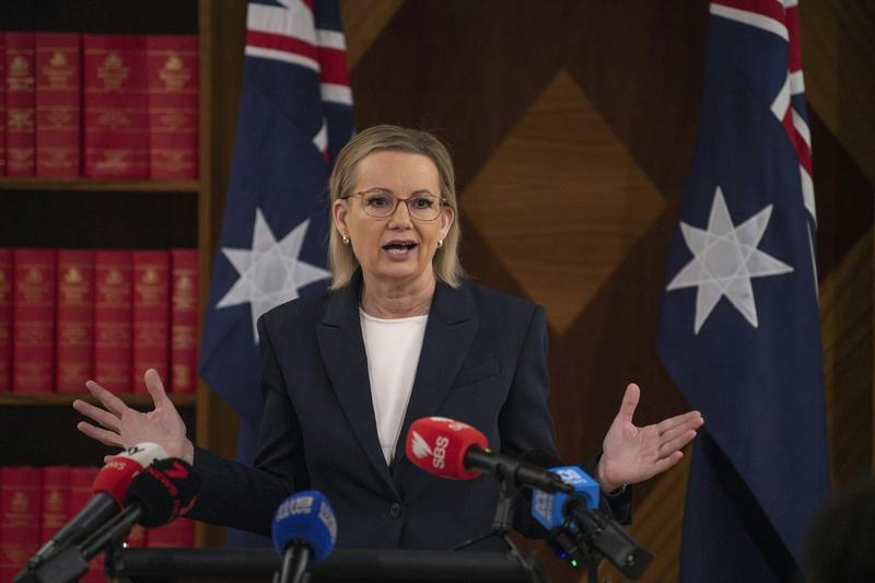 View from The Hill: Sussan Ley wedged by her own troops on Albanese omnibus legislation