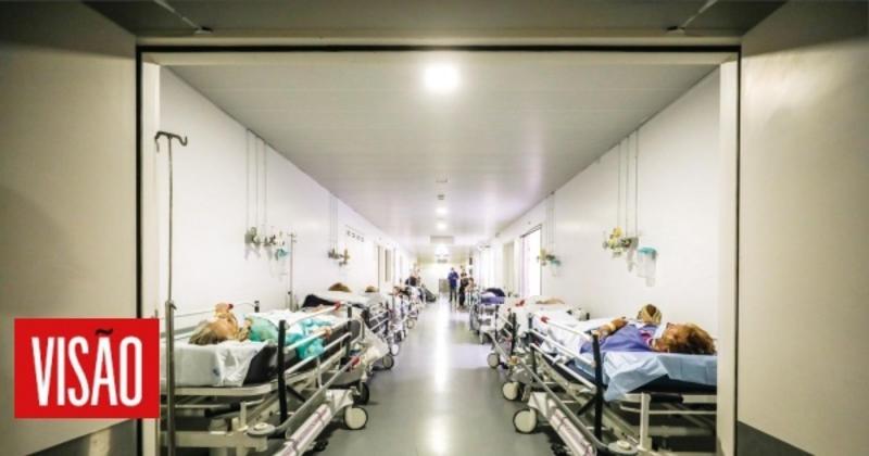 A morte, esse episódio pontual. Opinião de Alexandra Correia