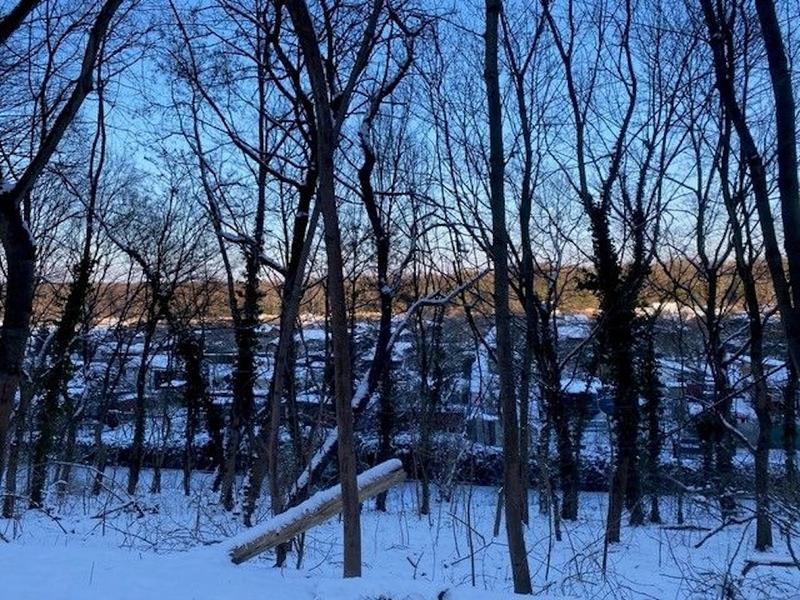 Geheimtipp: Grönland und die Oderbruchkippe