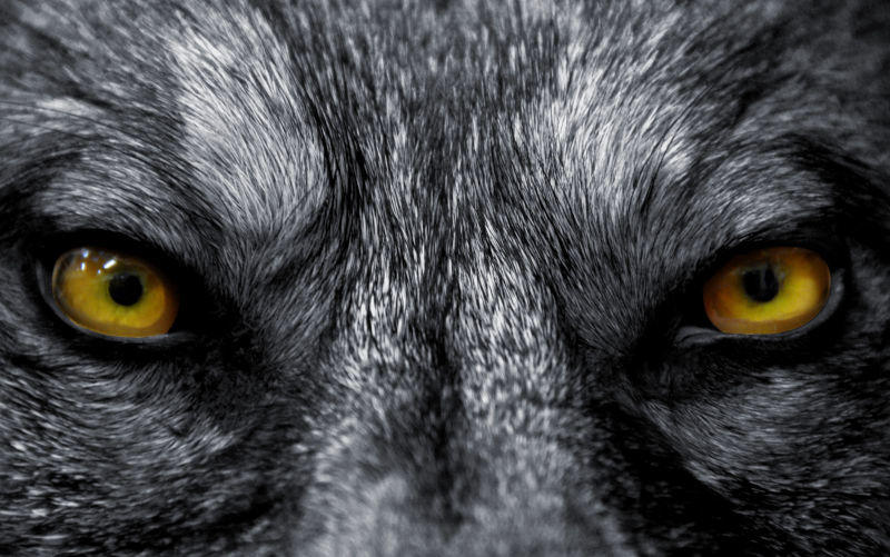 Best of 2025 - The boy who cried antisemitism