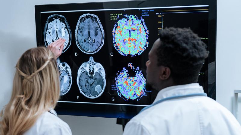 Perché si continua a ripetere lo stesso errore? Te lo rivela lo studio Unibo