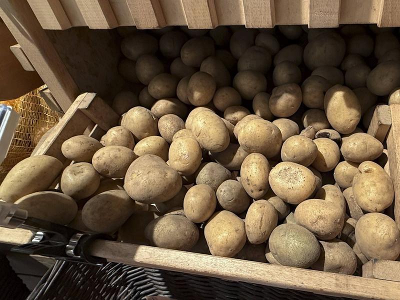 4000 Tonnen kostenlose Kartoffeln zur Grünen Woche: Hier werden falsche Erwartungen geschürt