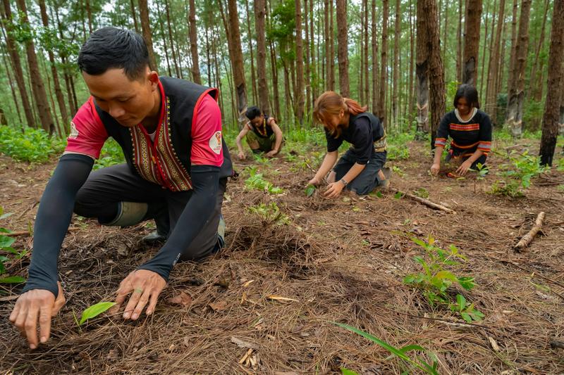 Why restoring nature can work so much more effectively when led by local people