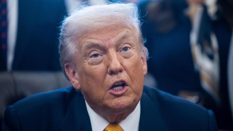 Gli italiani bocciano la dottrina Trump: per il 73% gli Stati Uniti non sono più una piena democrazia