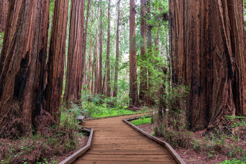 Sierra Club sues Trump administration over national park history purge