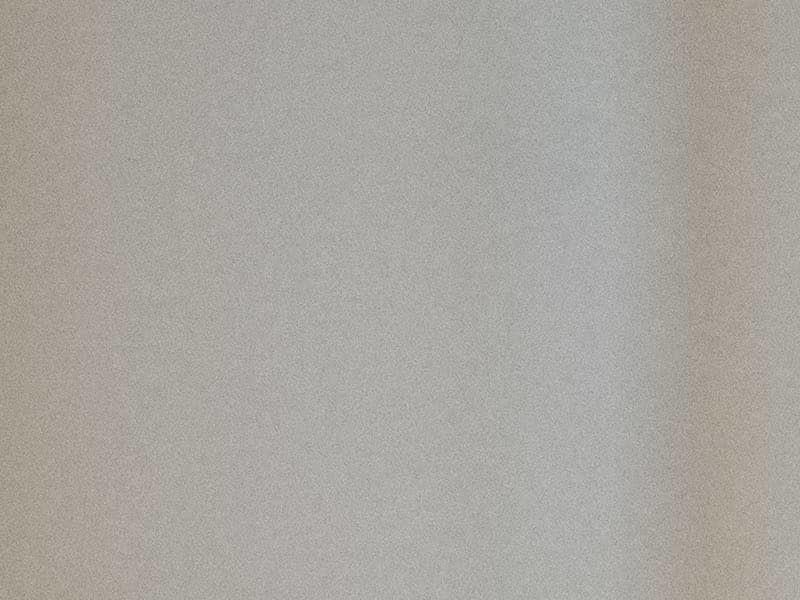 Le penseur du nazisme qui inspire Donald Trump