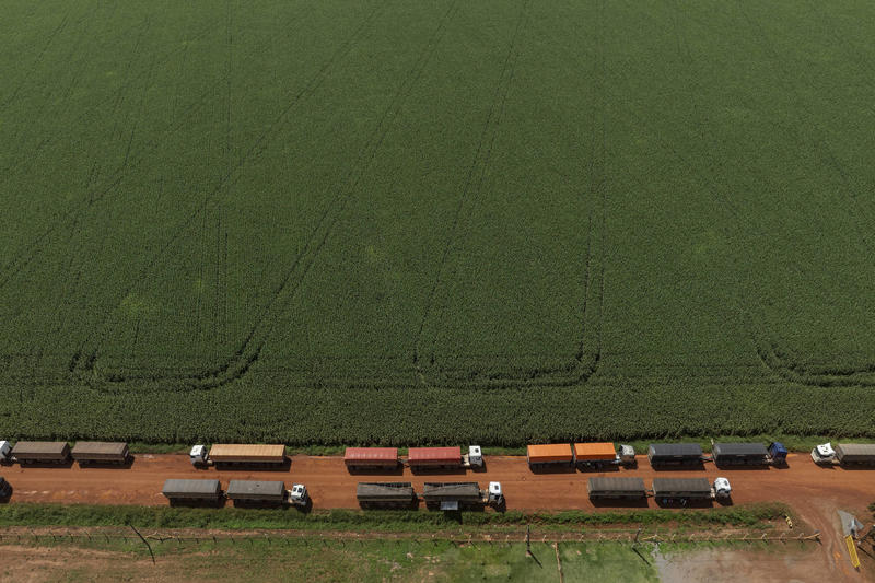 IBGE prevê safra menor neste ano, mas Conab ainda estima volume recorde